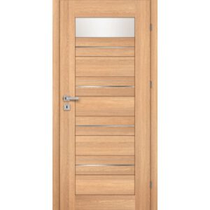 Drzwi CENTURION Inox S5/L