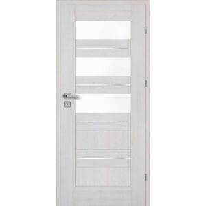 Drzwi CENTURION Inox S5/S