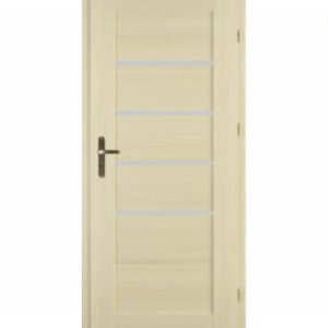 Drzwi Centurion Nicea N1/M