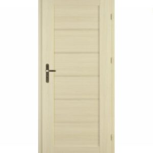 Drzwi Centurion Nicea N1/P