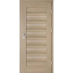 Drzwi INTENSO DOORS Lion Steel W-1