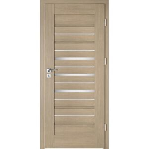 Drzwi INTENSO DOORS Lion Steel W-2