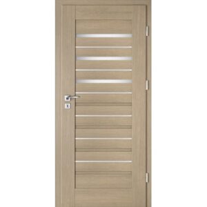 Drzwi INTENSO DOORS Lion Steel W-4