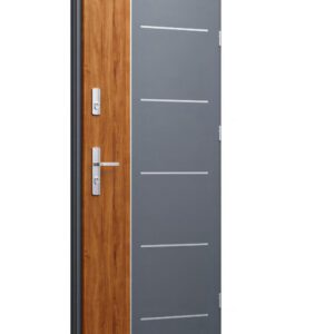Drzwi WIKĘD Future Inox FI02a