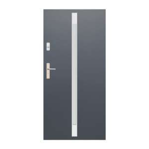 Drzwi WIKĘD Future Inox FI05a